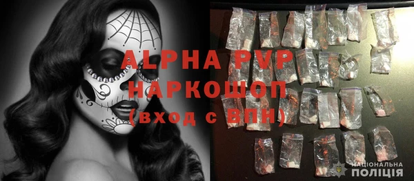 трава Коряжма