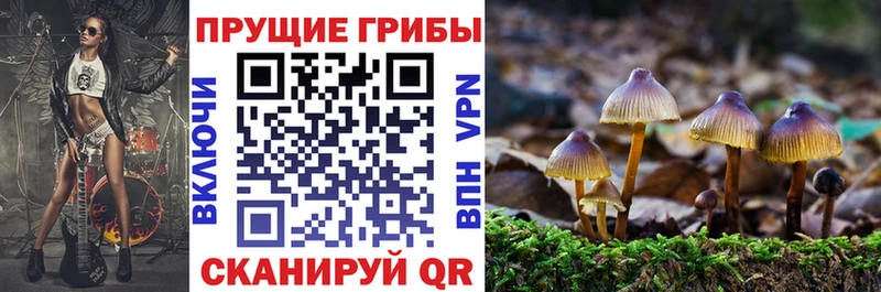 кракен ССЫЛКА  наркота  Котельники  Галлюциногенные грибы Psilocybe 