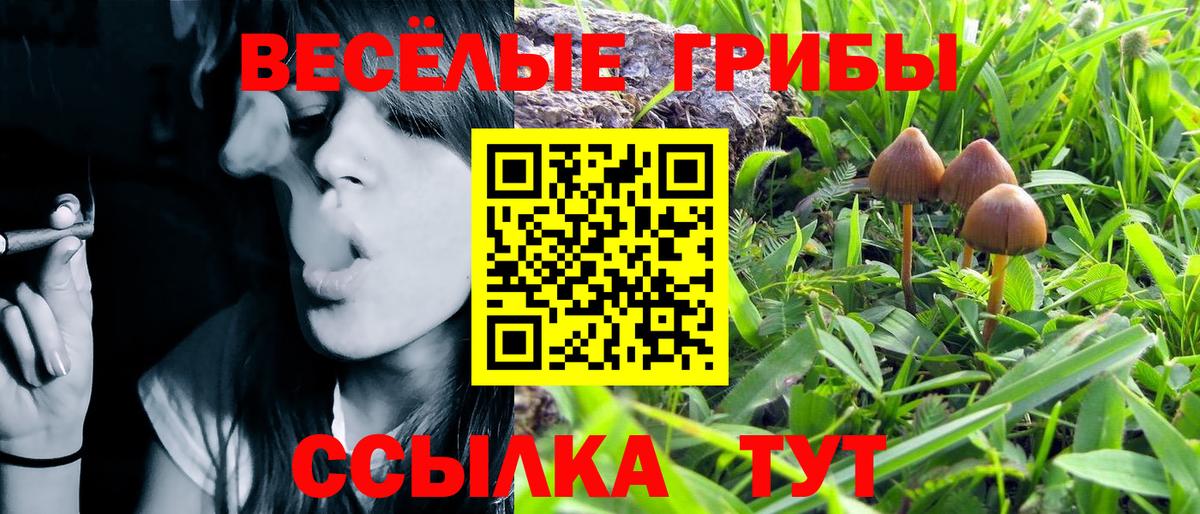 Галлюциногенные грибы мухоморы Котельники