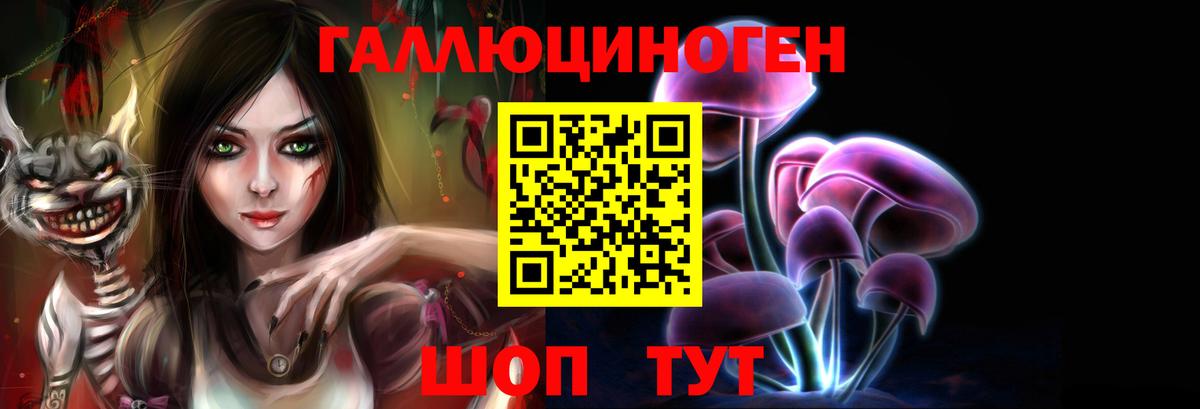 Котельники  Галлюциногенные грибы прущие грибы  Вход с VPN 